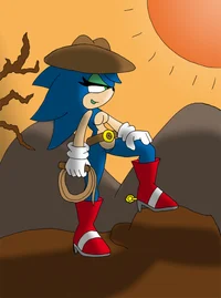 Country Fem Sonic