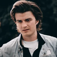 Steve Harrington 