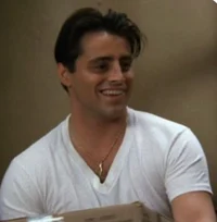 08 - JOEY TRIBBIANI