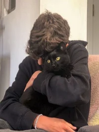 Joey Ward