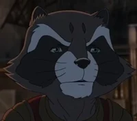 Ranger Raccoon