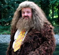 Rubeus Hagrid