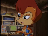 Sally Acorn