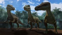 Trio Baryonyx