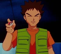 Brock pokemon 