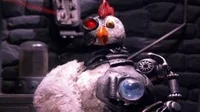 Robot chicken 