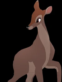 Doe