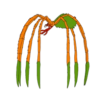 Queen MotherLonglegs