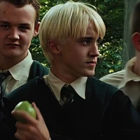 Draco Lucius Malfoy 