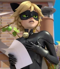 R3 Cat Noir