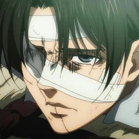 Levi Ackerman 