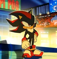 Shadow T Hedgehog 