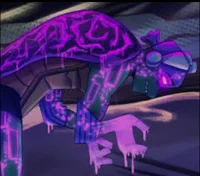 Donnie-Kraang Infect