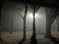 Chainsaw Scare Actor