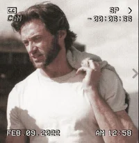 Wolverine