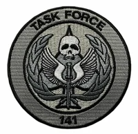 Task Force 141