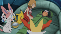 Pokemon Xyz