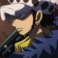 Trafalgar Law
