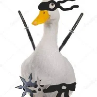 Pato ninja assasino