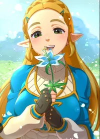 Zelda