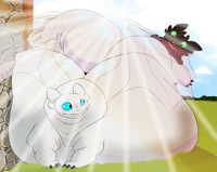 Furia Luminosa gorda