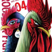 Rooster Fighter