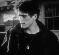 dallas winston