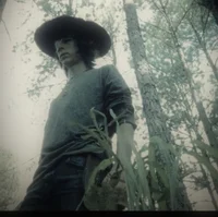 carl grimes