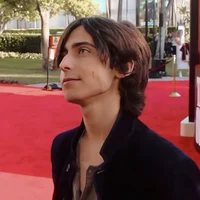 Aidan gallagher 