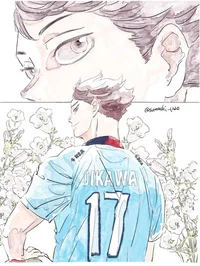 HK - Oikawa Tooru 