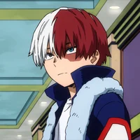 Shoto todoroki