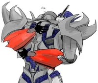 Megatron-Optimus TFP