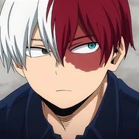 Shoto Todoroki