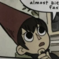 Wirt - OTGW