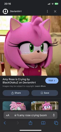 Forgotten Amy 