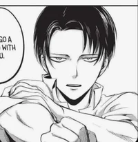 Levi Ackerman 