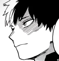 Shoto Todoroki