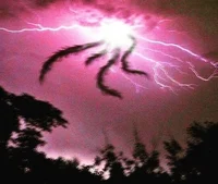 -Trevor Henderson W-