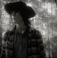 carl grimes