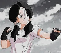 Videl