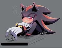 Shadow The Hedgehog 