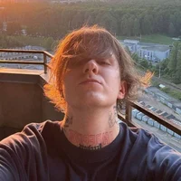 Диса Бендер