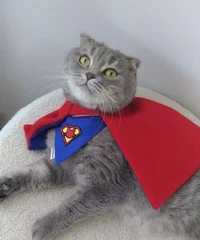 Supercat