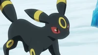 Umbreon