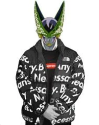 Cell