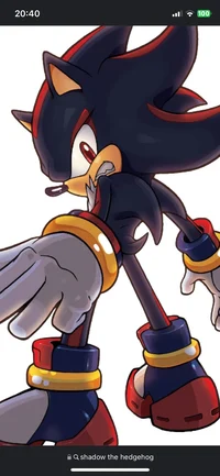 Shadow the Hedgehog 