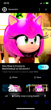 Forgotten Amy 