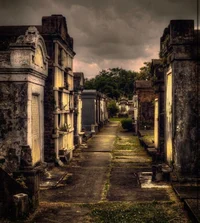 Vampires new orleans