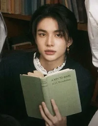 Librarian Hyunjin 