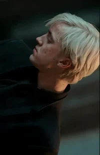 Draco Lucius Malfoy 